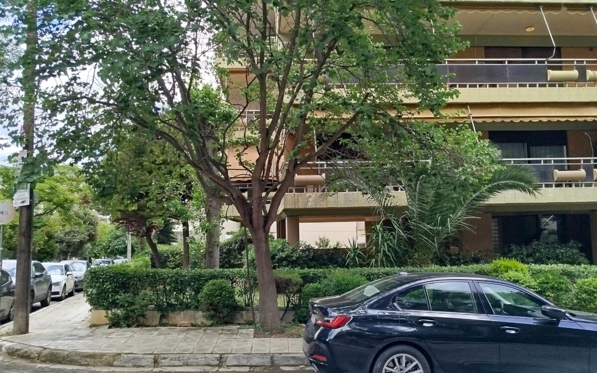 Γιατί δεν πρέπει να παρκάρω Μάιο – Ιούνιο κάτω από αυτό το δέντρο
