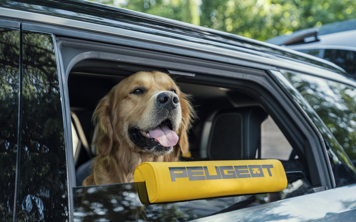 Peugeot E-5008 Dog Edition: Το πρωτότυπο SUV που μπορεί να… φέρει πίσω τον χαμένο σκύλο σου